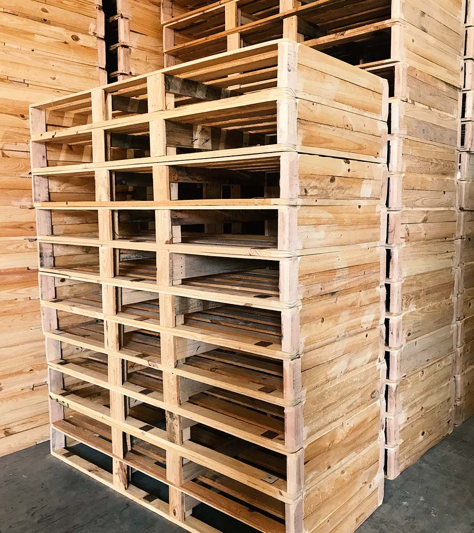 Bases de Sommier