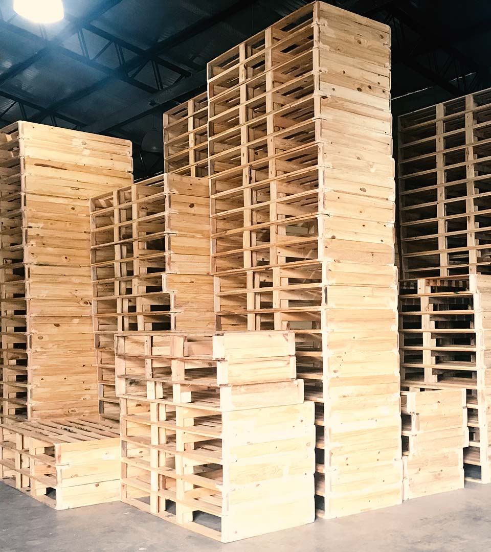 Bases de Sommier