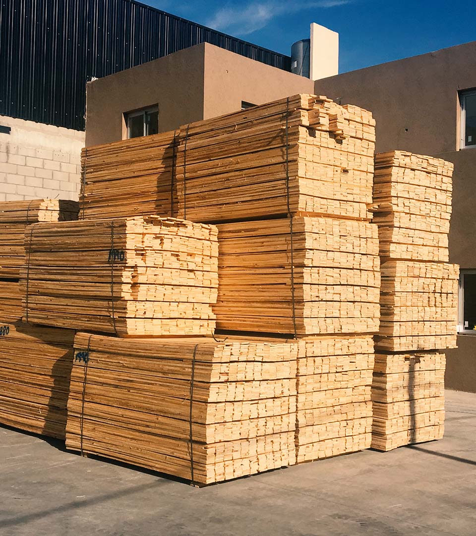 Madera Seca
