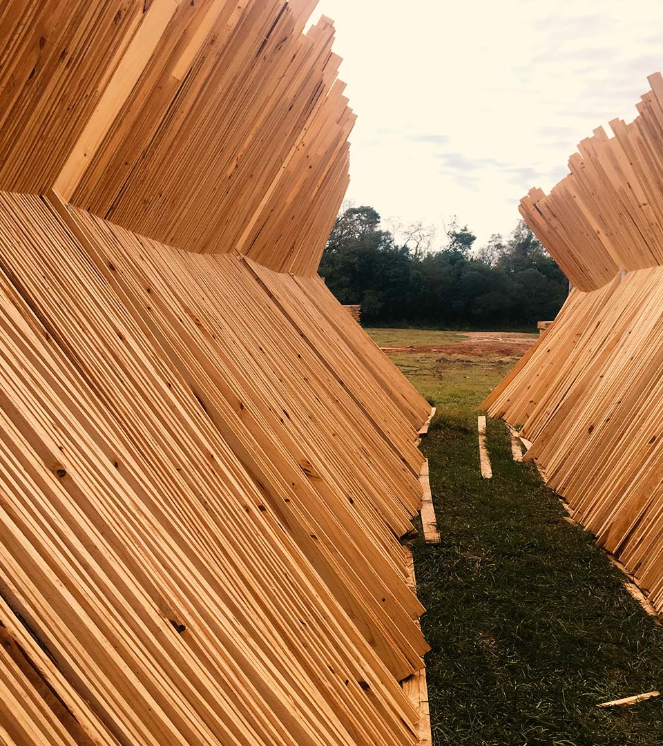 Madera Seca